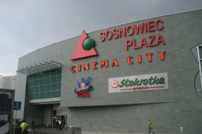 prace na wysokości Sosnowiec