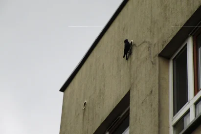 prace na wysokości - Katowice