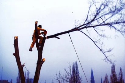 prace wysokościowe Śląsk