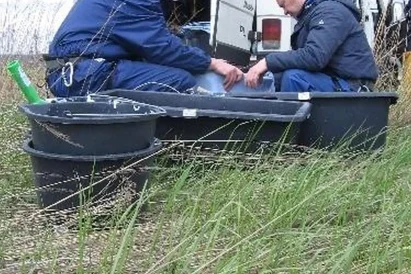 Wyklejanie reklam na pylonach. Tereny Śląska i Zagłębia dla BP Media Szczecin.