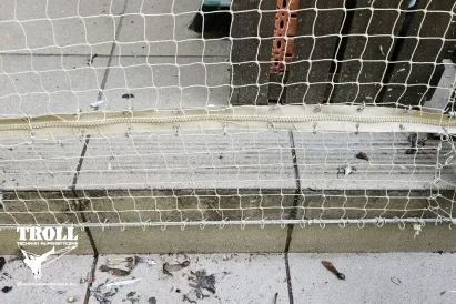 Zabezpieczenia elewacji i dachów przed inwazją ptaków