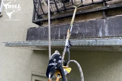 Kompleksowa ochrona obiektów przed ptakami