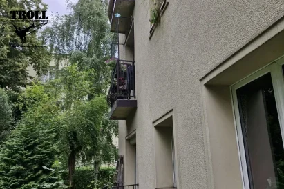 Montaż siatek przeciw ptakom - Katowice